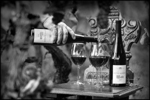 Die Geschichte der Familie Lucien Albrecht